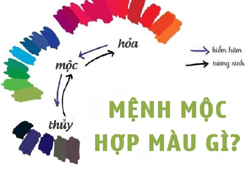 Mệnh Mộc hợp màu gì? Kỵ màu gì?