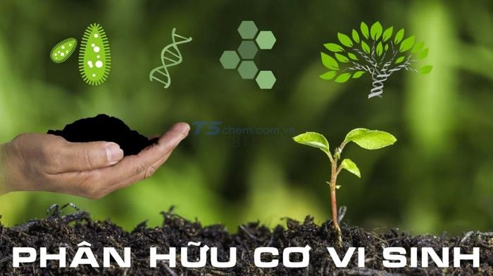 Đất hiếm là gì? Ứng dụng và tác hại của đất hiếm