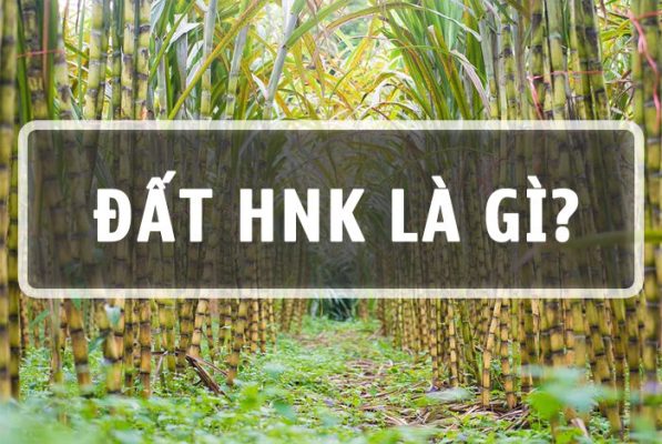 Đất HNK là gì? Đất HNK và đất CLN khác nhau như thế nào?