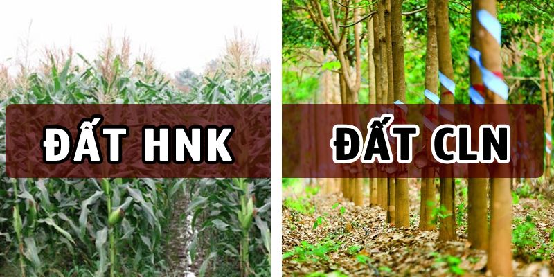 Đất HNK là gì? Đất HNK và đất CLN khác nhau như thế nào?