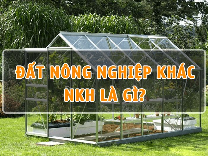 Đất NKH là gì? Đất nông nghiệp khác có được cấp Sổ đỏ không?
