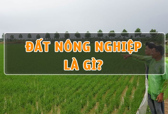 Đất nông nghiệp là gì? Có được chuyển sang đất thổ cư không?