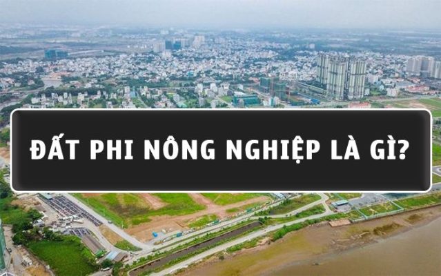 Đất phi nông nghiệp là gì? Khi nào được phép chuyển sang đất Ở