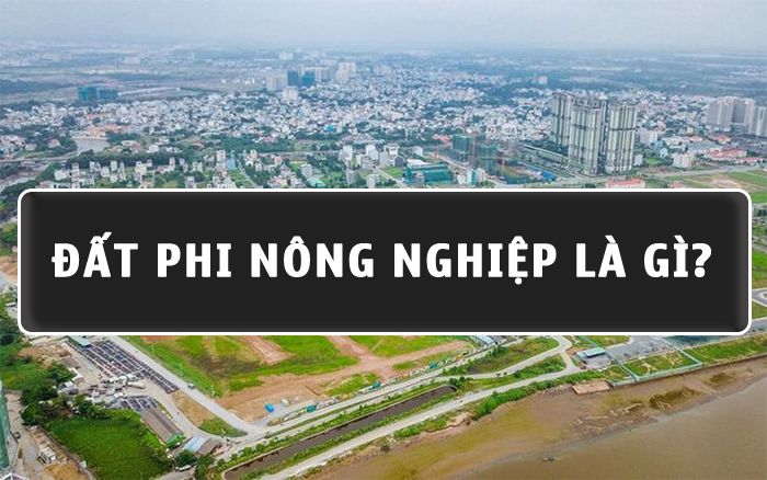 Đất phi nông nghiệp là gì? Khi nào được phép chuyển sang đất Ở