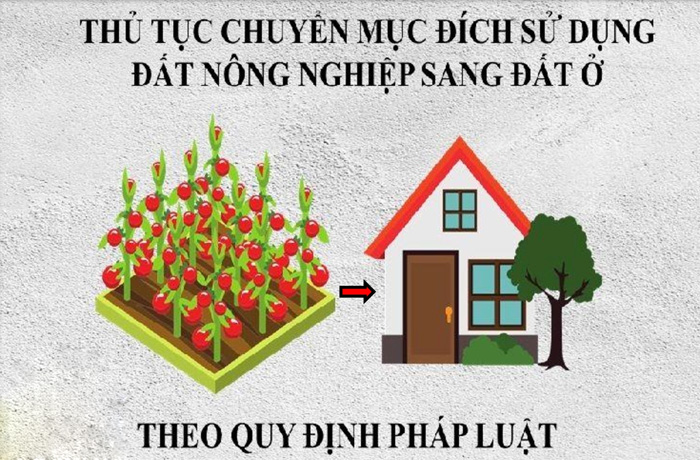 Đất thổ cư là gì? Thủ tục chuyển đất trồng cây lên thổ cư