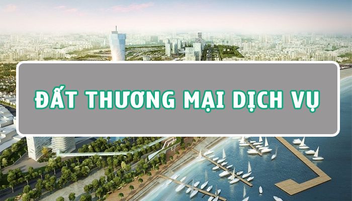 Đất thương mại dịch vụ là gì? Tất tần tật về đất thương mại