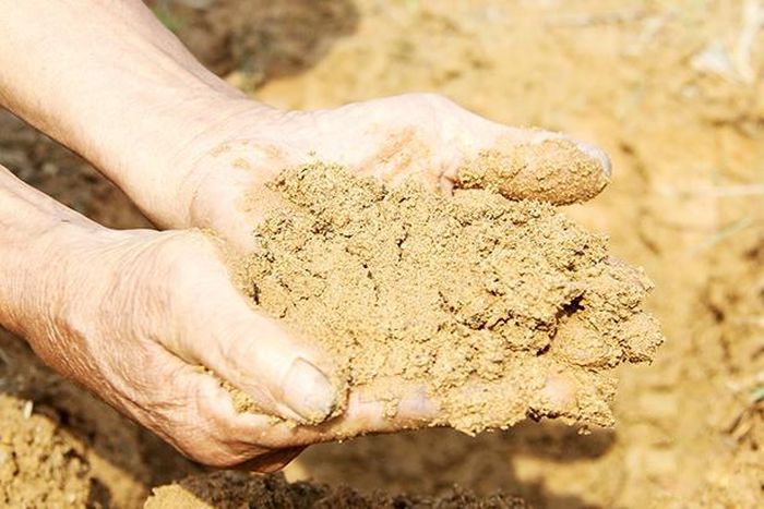 Đất trồng là gì? Thành phần và phân loại đất trồng cây