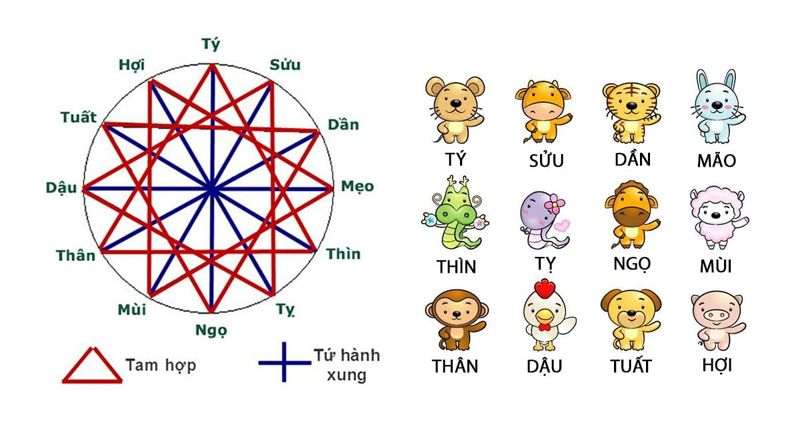 Tam hợp & Tứ hành xung là gì? Tuổi xung và hợp 12 con giáp