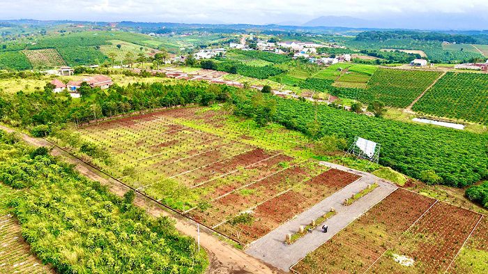 Top 10 dự án đất nền tại Bảo Lộc được nhà đầu tư quan tâm