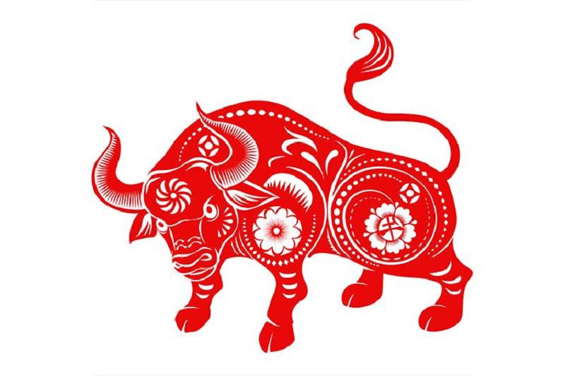 Tuổi sửu (con Trâu)