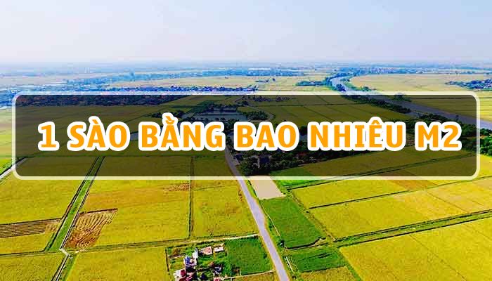 1 Sào bằng bao nhiêu m2? Các đơn vị đo lường cổ của Việt Nam