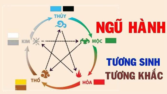 Cung diên niên là gì? Hướng dẫn cách xác định cung Diên Niên