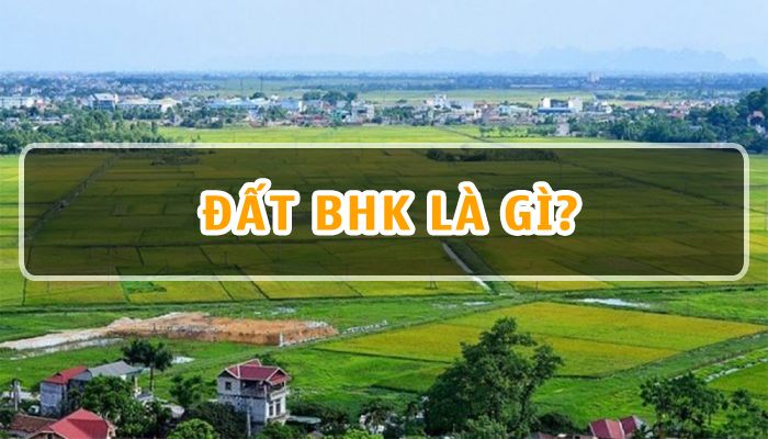 BHK là đất gì? Những quy định sử dụng đất BHK mới nhất