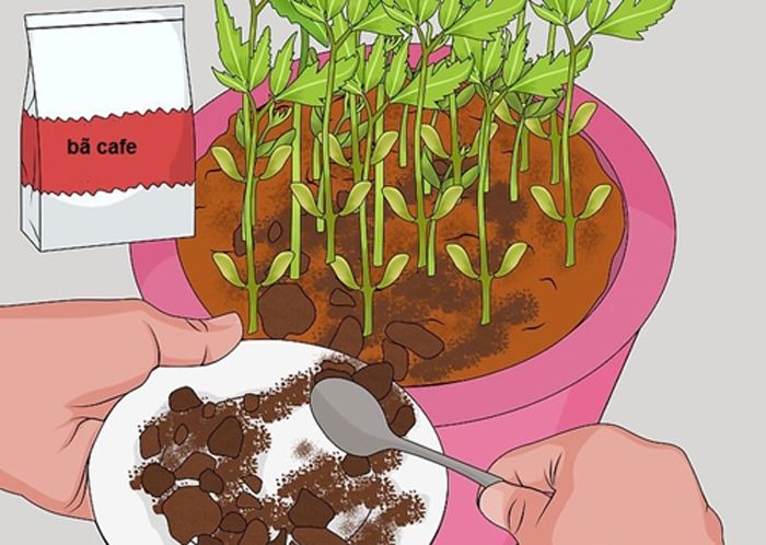 Độ phì nhiêu của đất là gì? Cách tăng độ phì nhiêu cho đất