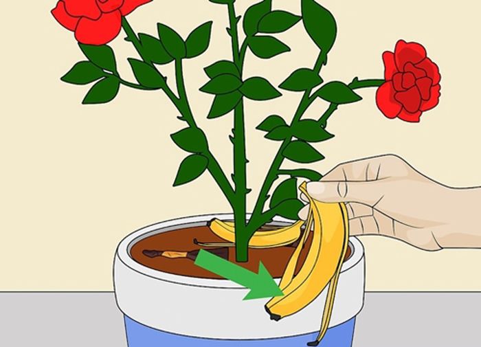 Độ phì nhiêu của đất là gì? Cách tăng độ phì nhiêu cho đất
