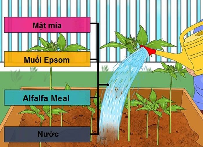 Độ phì nhiêu của đất là gì? Cách tăng độ phì nhiêu cho đất