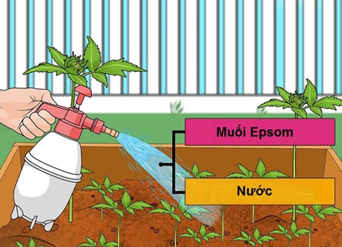 Độ phì nhiêu của đất là gì? Cách tăng độ phì nhiêu cho đất