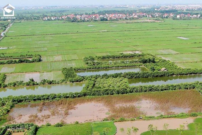 Đất thổ canh là gì? Hướng dẫn cách chuyển đổi mục đích sử dụng đất thổ canh