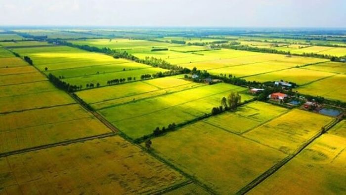 Đất thổ canh là gì? Hướng dẫn cách chuyển đổi mục đích sử dụng đất thổ canh