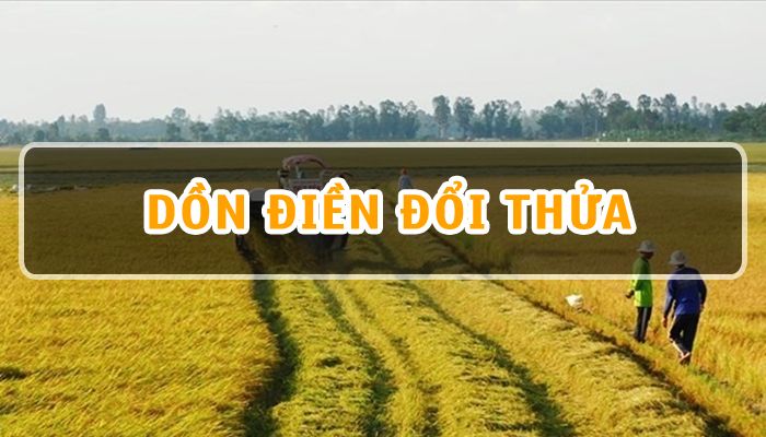 Dồn điền đổi thửa là gì? Những điều nên biết về dồn điền đổi thửa