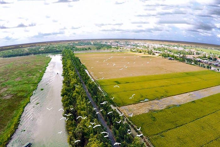 Dồn điền đổi thửa là gì? Những điều nên biết về dồn điền đổi thửa