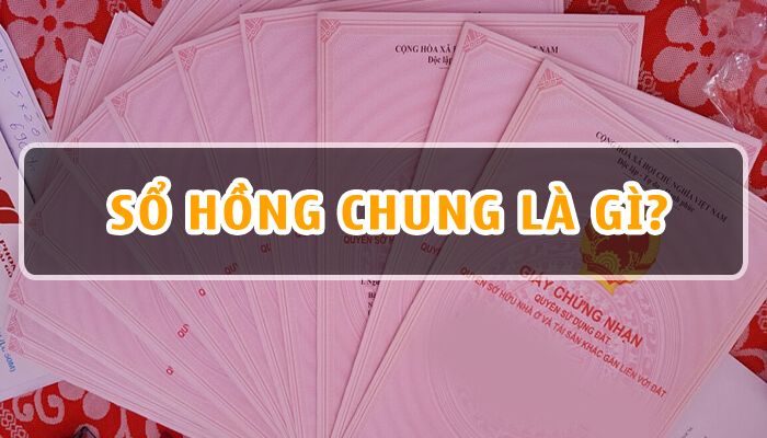 Sổ hồng chung là gì? Những “Rủi Ro” tiềm ẩn mua nhà sổ hồng chung