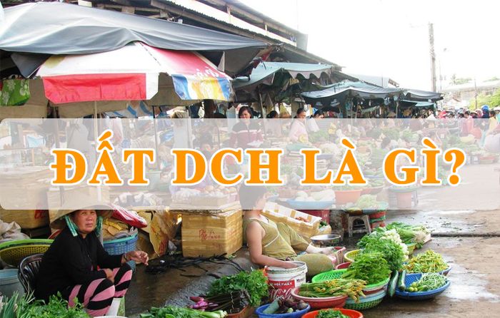 Đất DCH là gì? Thông tin về quyền sở hữu và sử dụng đất DCH