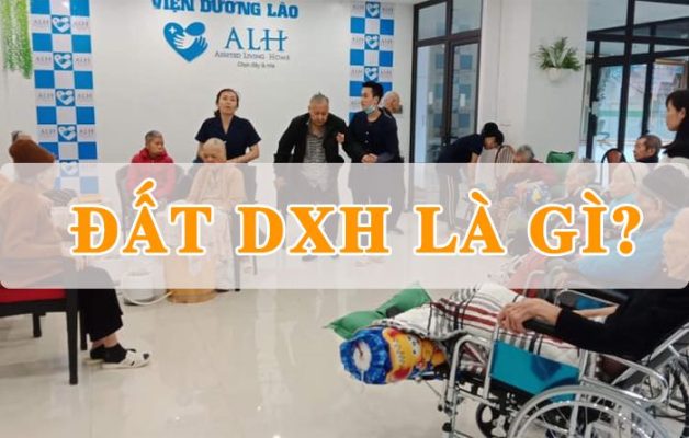 Đất DXH là gì? Những lưu ý khi sử dụng đất cho các công trình dịch vụ xã hội