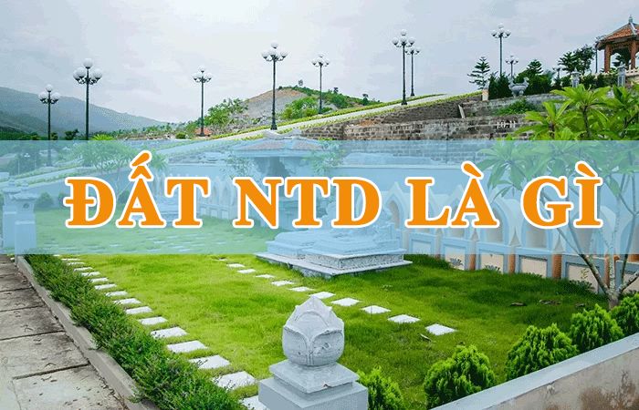 Đất NTD là gì? Quy định về đất nghĩa trang, nhà tang lễ, nhà hỏa táng