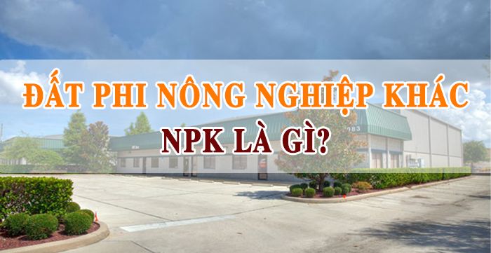 Đất PNK là gì? Thông tin liên quan đến đất nông nghiệp khác PNK