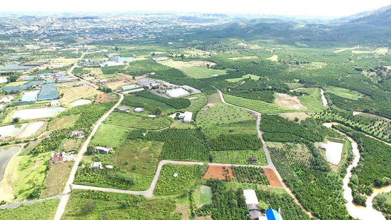 Mách bạn kinh nghiệm vàng khi đầu tư bất động sản Bảo Lâm