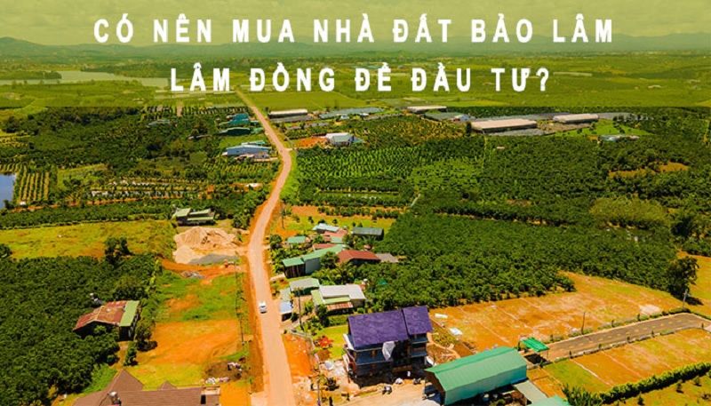 Mách bạn kinh nghiệm vàng khi đầu tư bất động sản Bảo Lâm