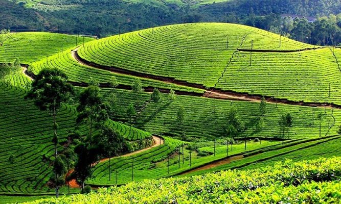 Mua đất view đồi tại Bảo Lộc