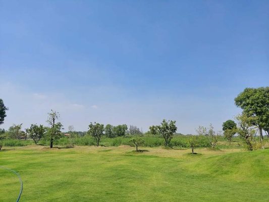 Đất thổ vườn là gì? Có được phép xây dựng hay không?