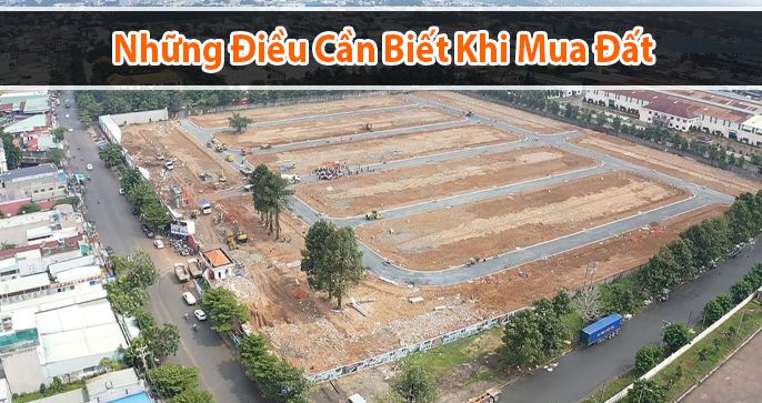 Top 3 những điều cần biết khi mua đất cho người mới bắt đầu