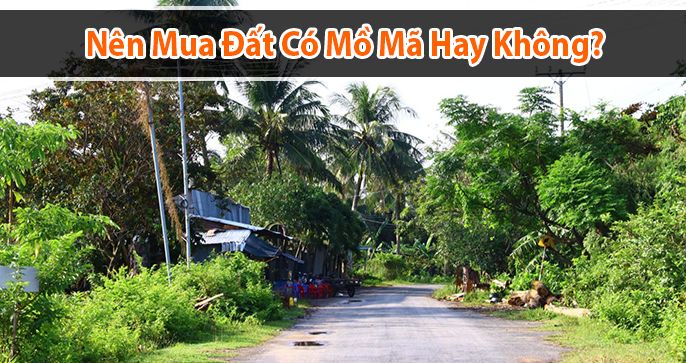 Có nên mua đất có mộ không? Cách kiểm tra đất có mồ mả