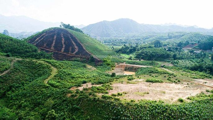 Có nên mua đất rừng sản xuất không? Nếu mua cần lưu ý những gì? 