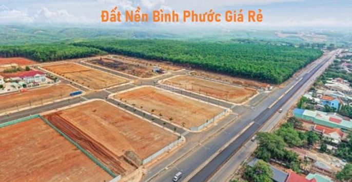 Có nên mua đất bình phước? Những thông tin cần biết