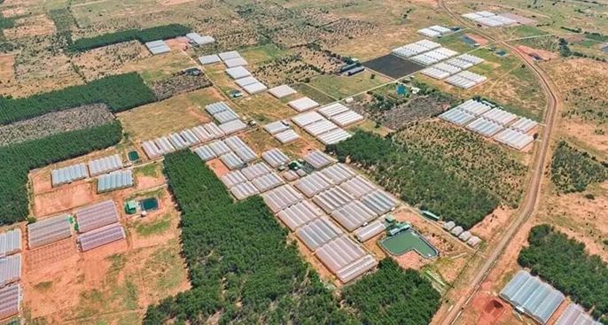 Có nên mua đất Bình Thuận hay không? Tìm hiểu về tình hình đất hiện tại