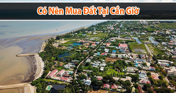 Có nên mua đất Cần Giờ không? Một số lưu ý cho các nhà đầu tư
