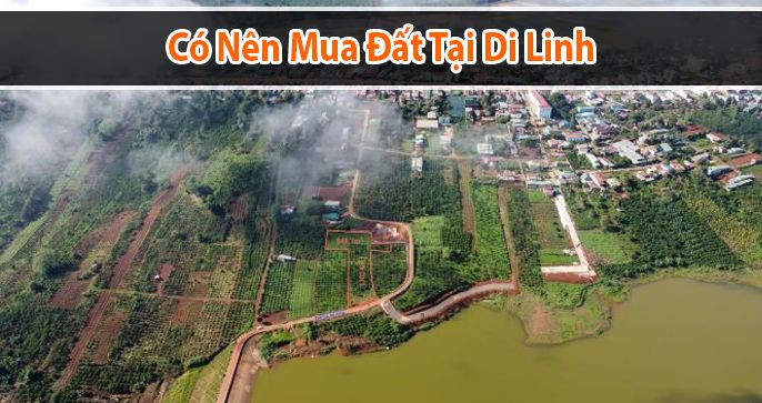 Có nên mua đất Di Linh hay không? Băn khoăn của nhiều nhà đầu tư
