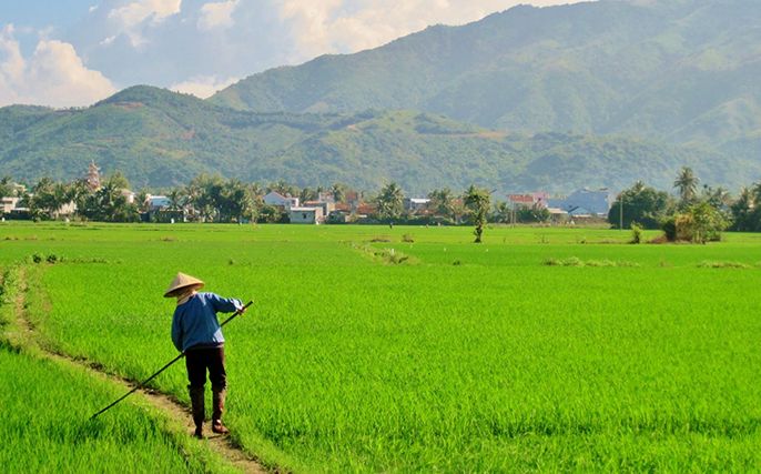 Giải đáp thắc mắc: Có nên mua đất ruộng hay không?