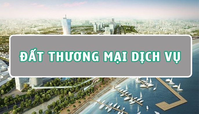 Có Nên Mua Đất Thương Mại Dịch Vụ Hay Không?