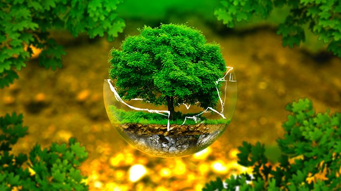 Môi trường là gì? Khái niệm pháp luật về bảo vệ môi trường