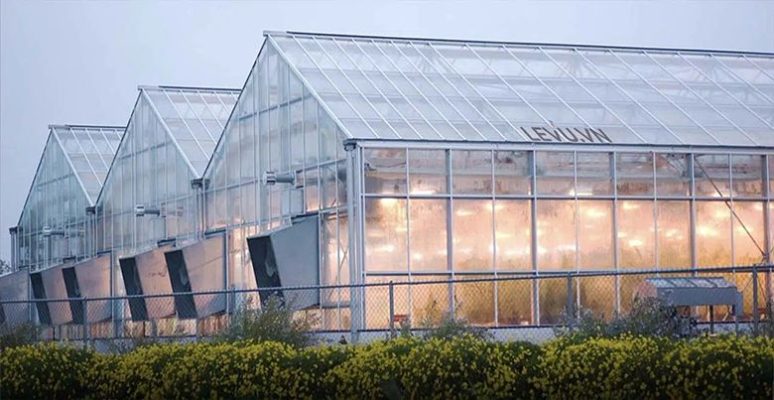 Đại lý tấm lợp lấy sáng polycarbonate uy tín ở Tphcm