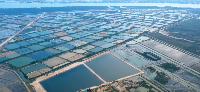Tiến độ Eco Central Park Vinh đã đến giai đoạn nào?
