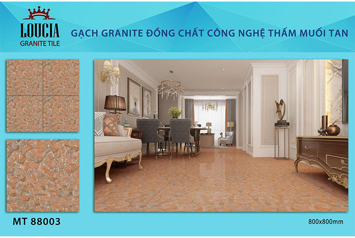 Gạch Granite thấm muối tan là gì