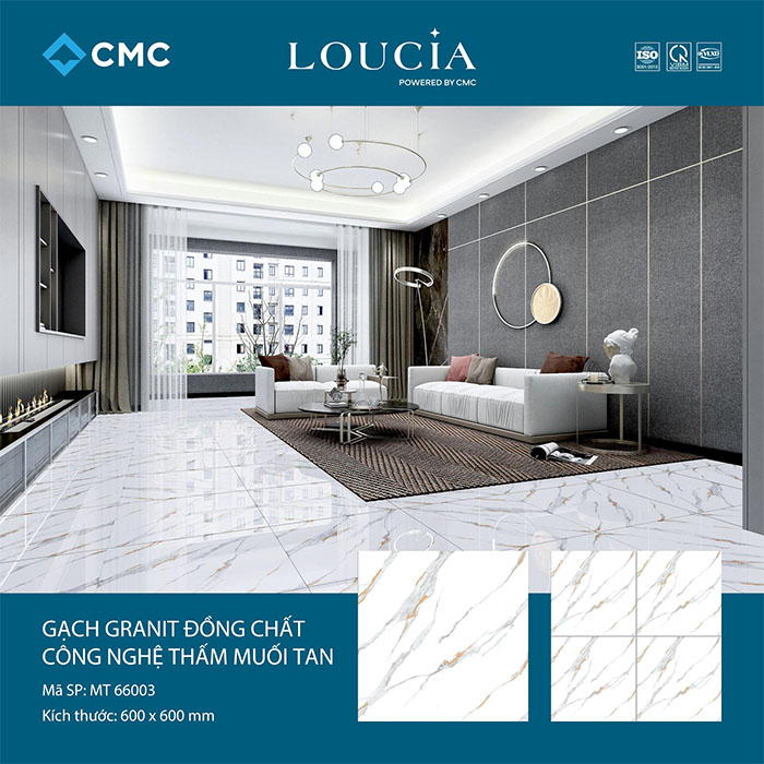 Gạch Granite thấm muối tan là gì