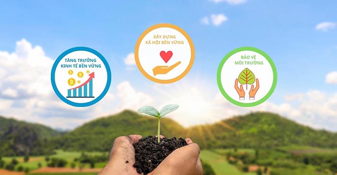 Mua đất xong nên làm gì?