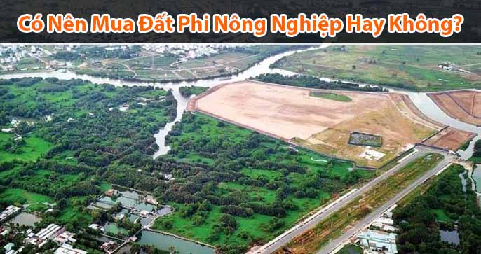 Có nên mua đất phi nông nghiệp hay không?